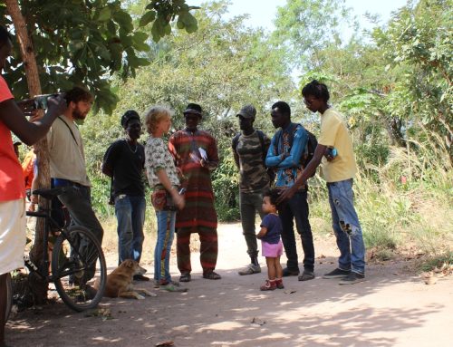 Erfolgreicher erster Workshop zu Tropischer Permakultur und syntropischem Agroforst in Senegal